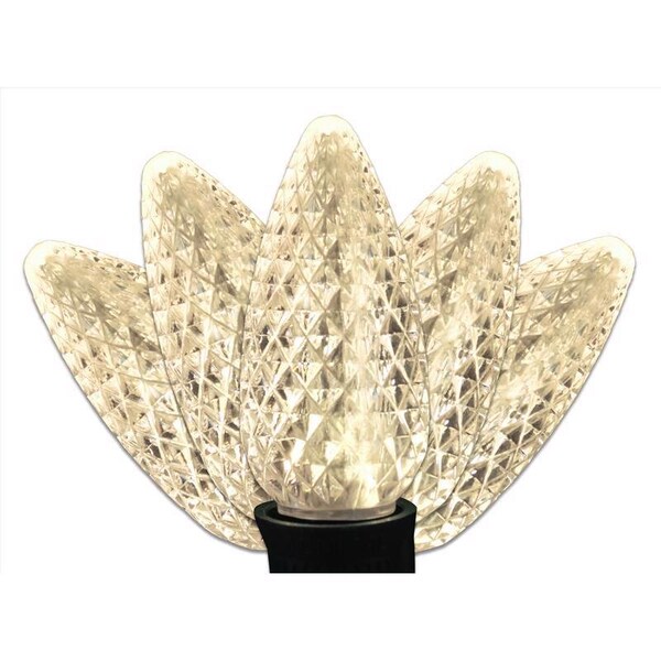 Celebrations Celebrations Platinum LED C9 Warm White 25 ct String Christmas Lights 25 ft. C925FWWSA - main